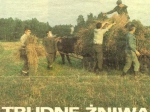 Strażnik Koła kolega Stefan Charkiwicz (stoi na wozie) podczas przygotowywania owsa w snopkach do transportu do miejsca zmagazynowania (1973 rok).