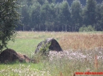 Kamień centralny - Imperator