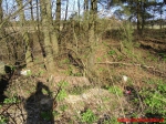 Kamienny krąg