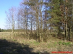 Kamienny krąg