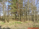 Kamienny krąg