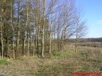 Kamienny krąg